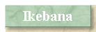 Ikebana